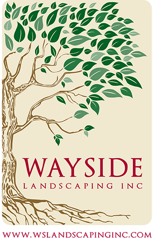 Wayside Landscaping